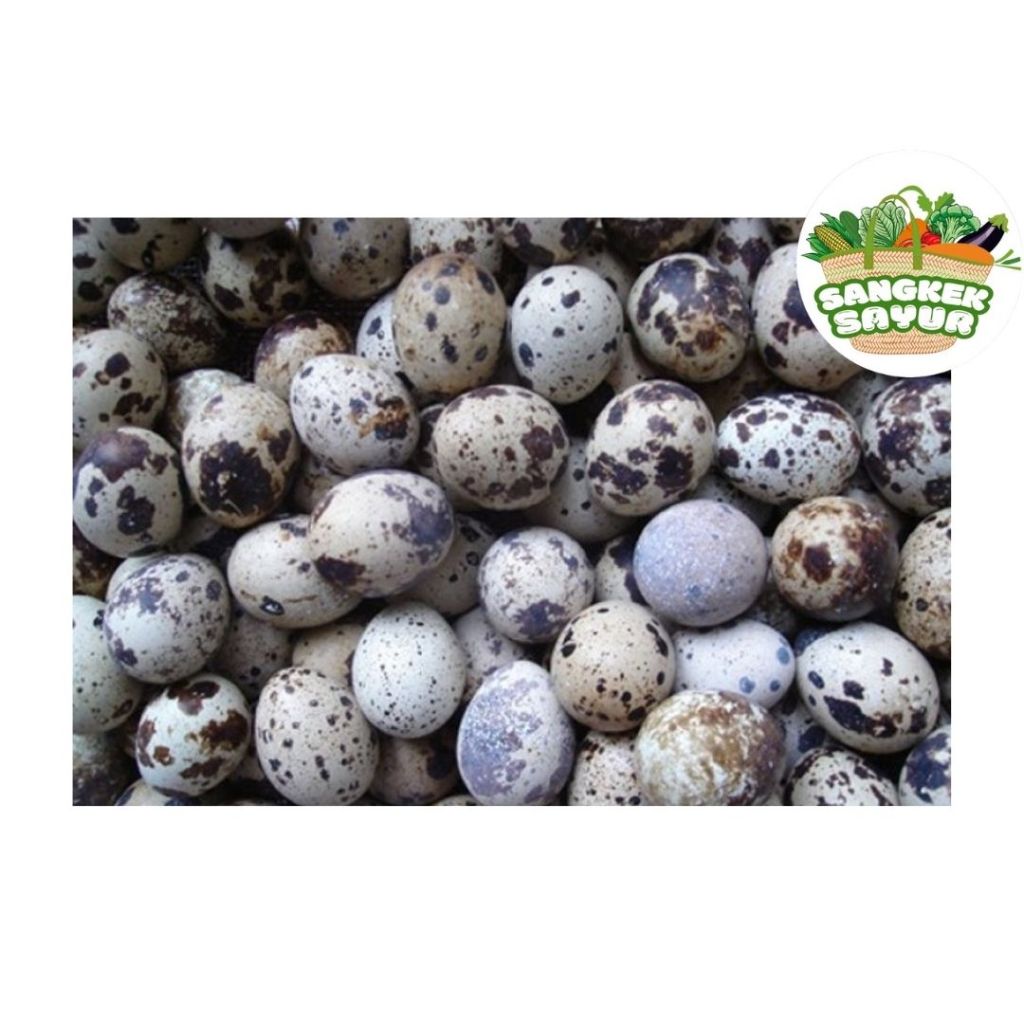 

Telur Puyuh per Bungkus (isi 8 butir) - sangkek.sayur PALEMBANG