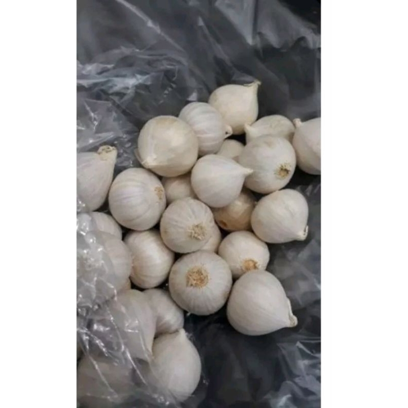 

Bawang putih tunggal / Bawang tunggal / Bawang Lanang 100gr