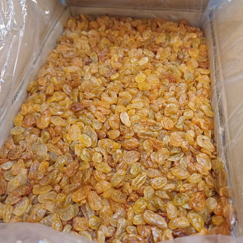 

Kismis yellow golden raisins 1kg asam manis kismis premium natural 100% alami dan segar