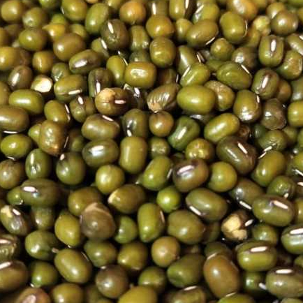 

kacang hijau yulek birma super 250gr