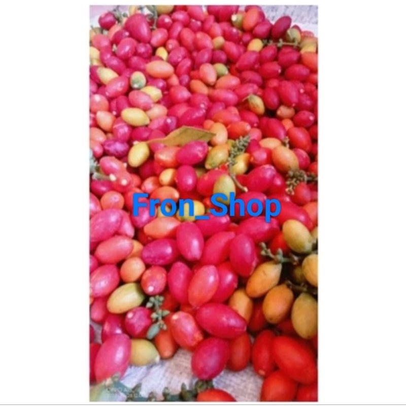 

1KG BUAH MELINJO MATENG MELINJO MERAH TERMURAH SEGAR DAN FRESH