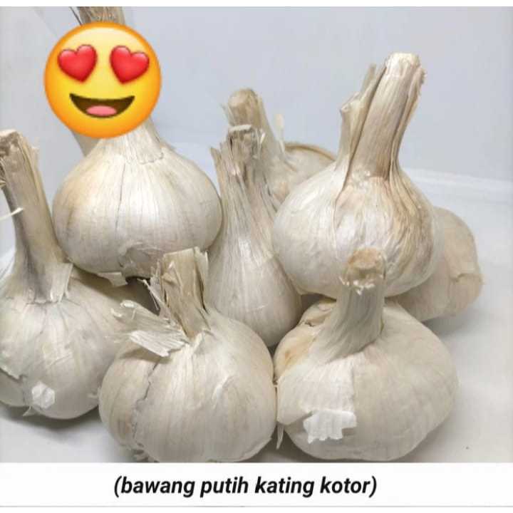 

TERMURAH!! BAWANG PUTIH KATING (kotor) 500gr