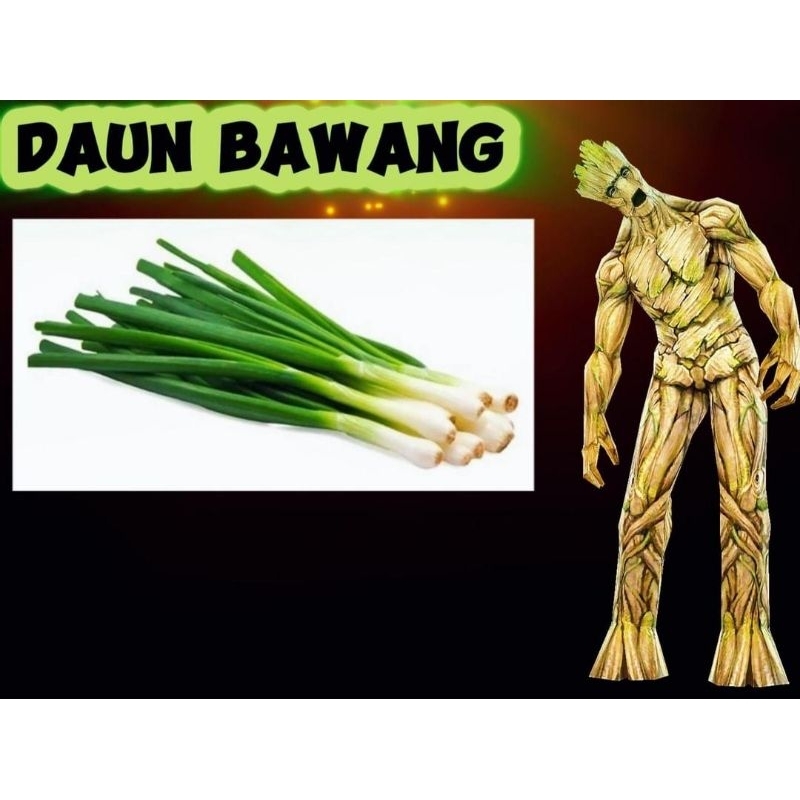 

daun bawang