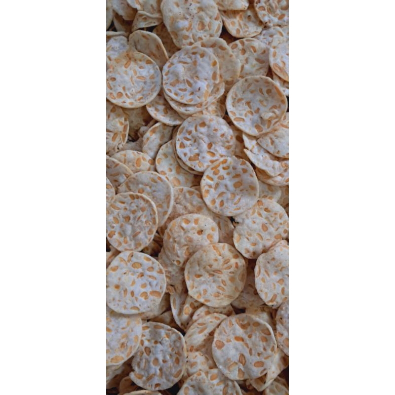 

keripik tempe tapioka renyah 500gram