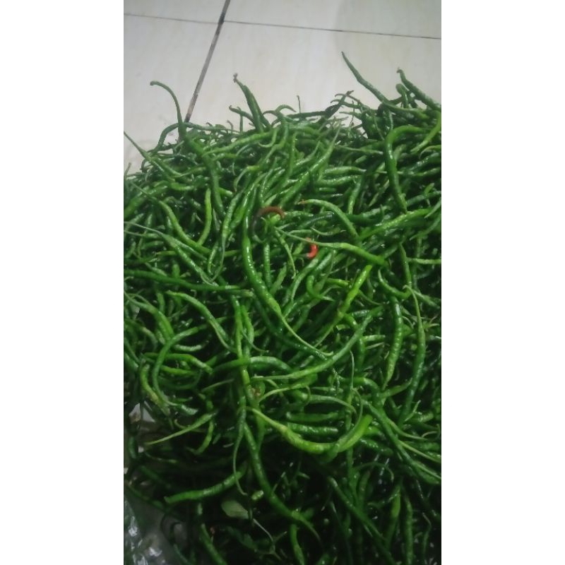 

cabe ijo keriting