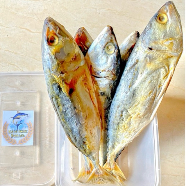 

Ikan Peda Asin / Ikan Asin Peda 250gram (Gratis box Penyimpan Ikan)