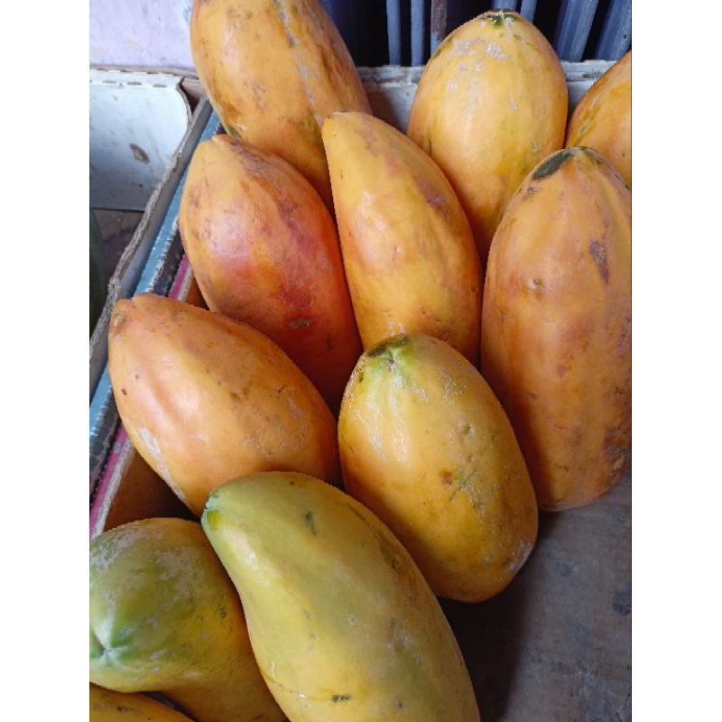 

buah pepaya California manis