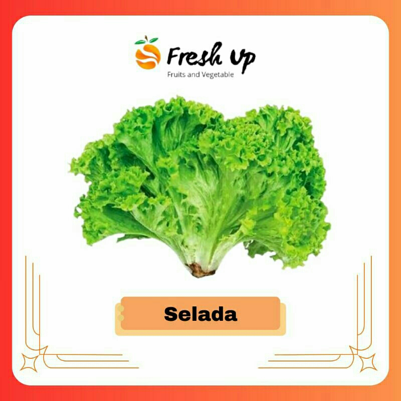 

Selada Fresh 250 gr | FreshUp