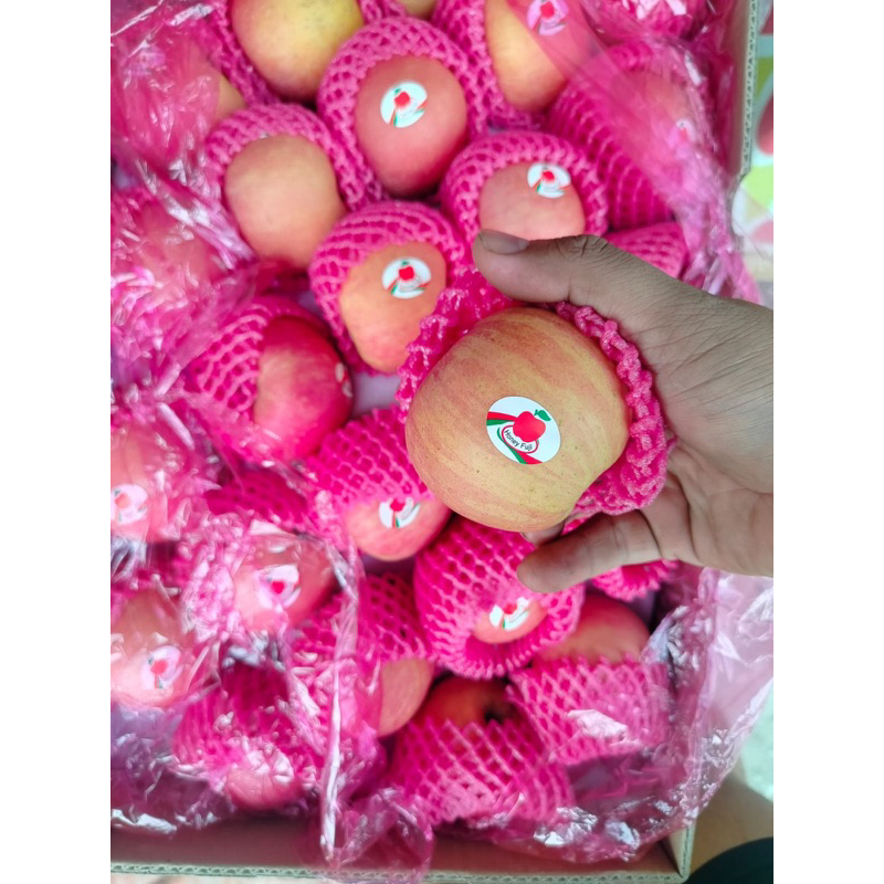

Apel fuji honey import (900-1000gr)