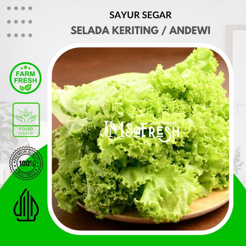 

[JM_SoFresh] Selada Keriting Andewi 250Gram