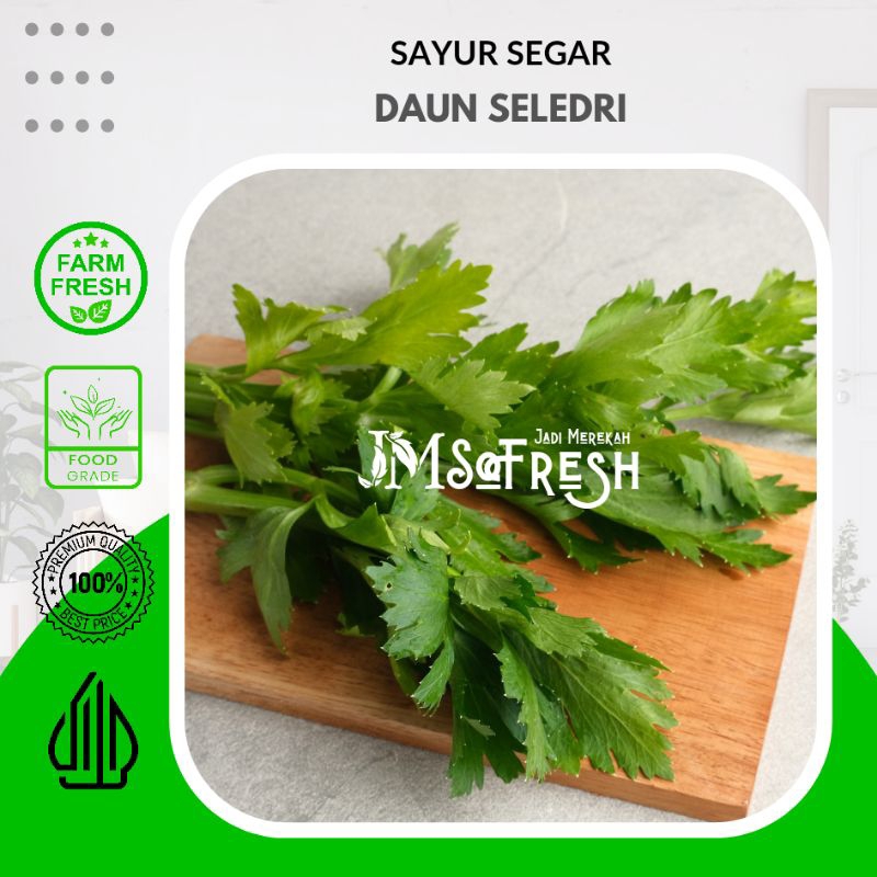 

[JM-SoFresh] Daun Seledri Per Ikat 50 Gram