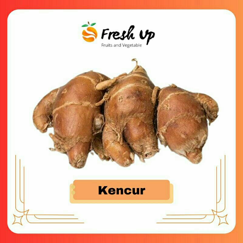 

Kencur Super 100 gr