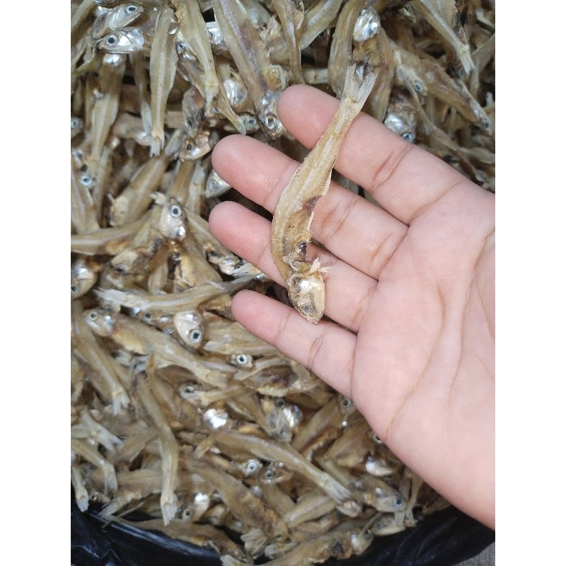 

IKAN KERING LURE BESAR