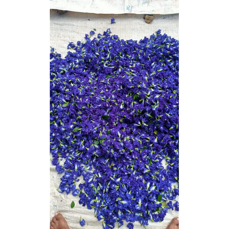 

Bungatelang kering1kg
