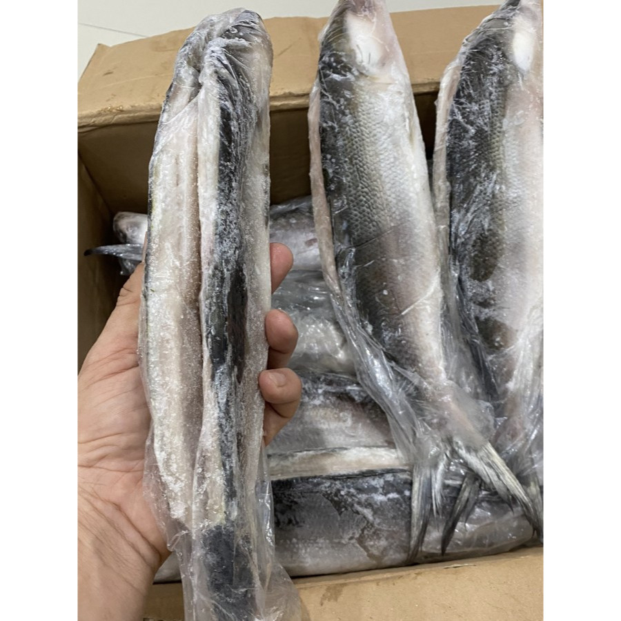 

Ikan bandeng tanpa duri /cabut duri beku super @900-1000 gram