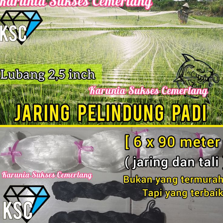 Baru Populer  JARING BURUNG 25 INCH  JARING EMPRIT SAWAH  JARING PADI JARING BURUNG KECIL  JARING PE