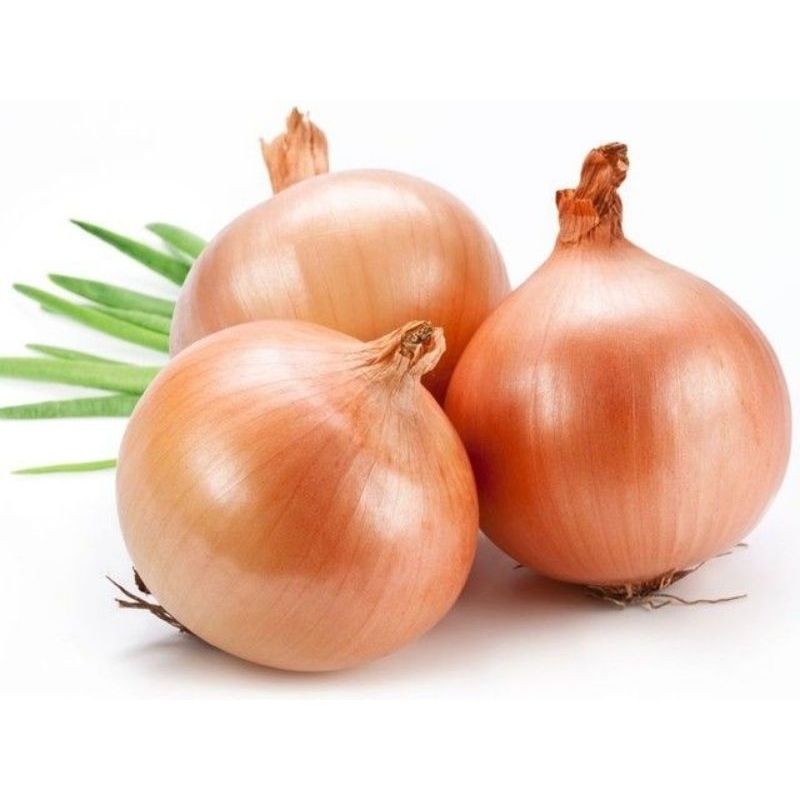 

[TERMURAH] BAWANG BOMBAY per 500gram
