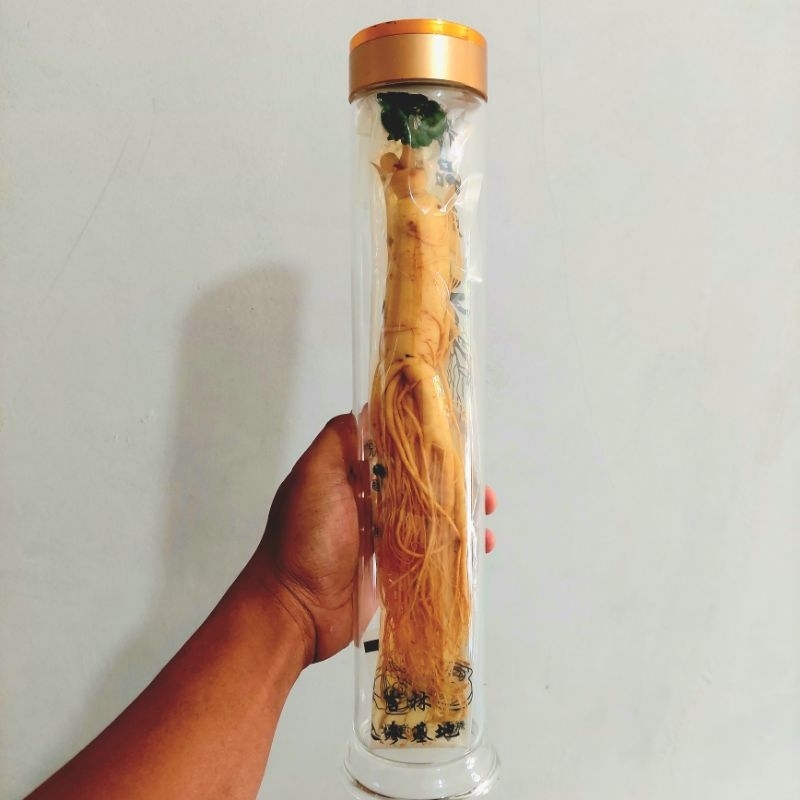 

gingseng jumbo + botol 1L panjang 40cm