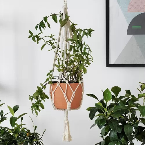 BOTANISK Gantungan Pot Tanaman Bahan Katun Macrame Plant Hanger Panjang 90cm WEO IK6566
