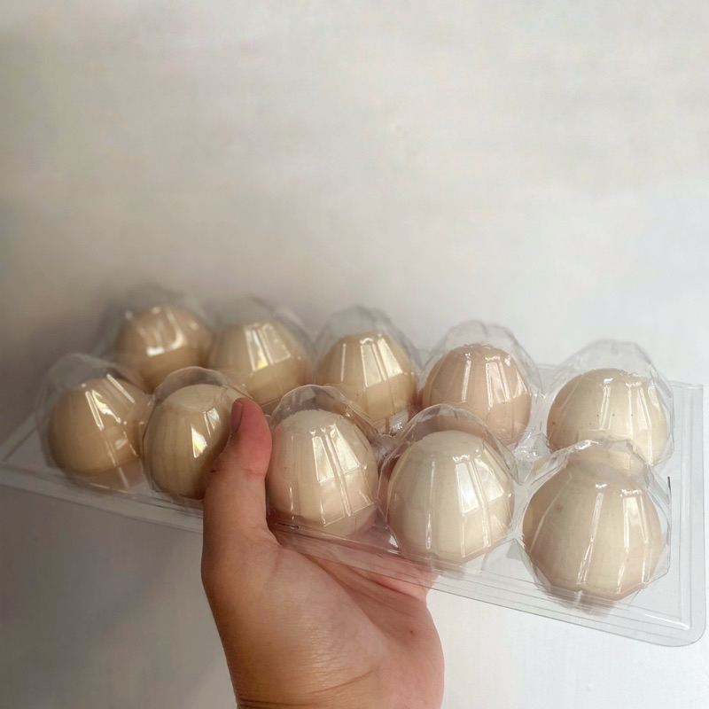 

TELUR OMEGA KAMPUNG, isi 10 butir