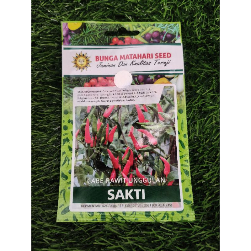 

cabe rawit unggulan SAKTI