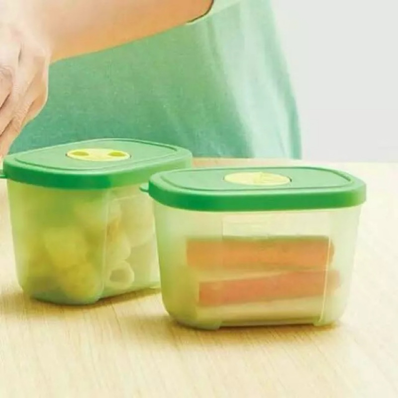 Mini Freezermate Tupperware / wadah tupperware (isi 2)