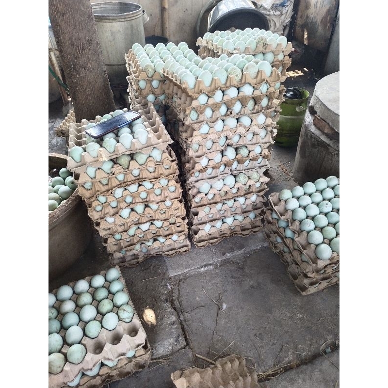 

TELORASINASLIBREBES100%