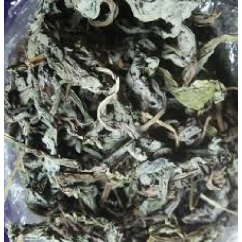 

Daun Insulin Kering Herbal