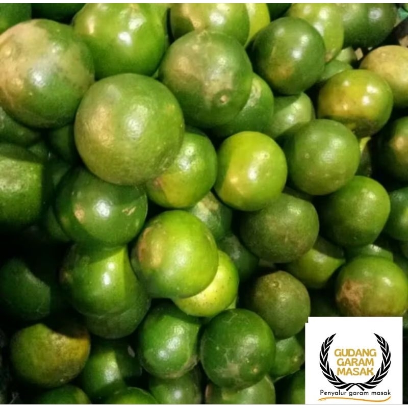 

Buah jeruk peres/peres 1 kg terlarisss