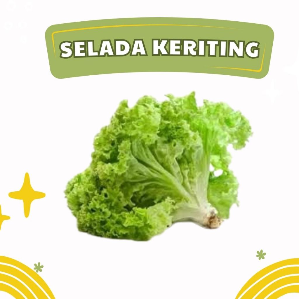 

Selada Keriting Fresh 500 Gram