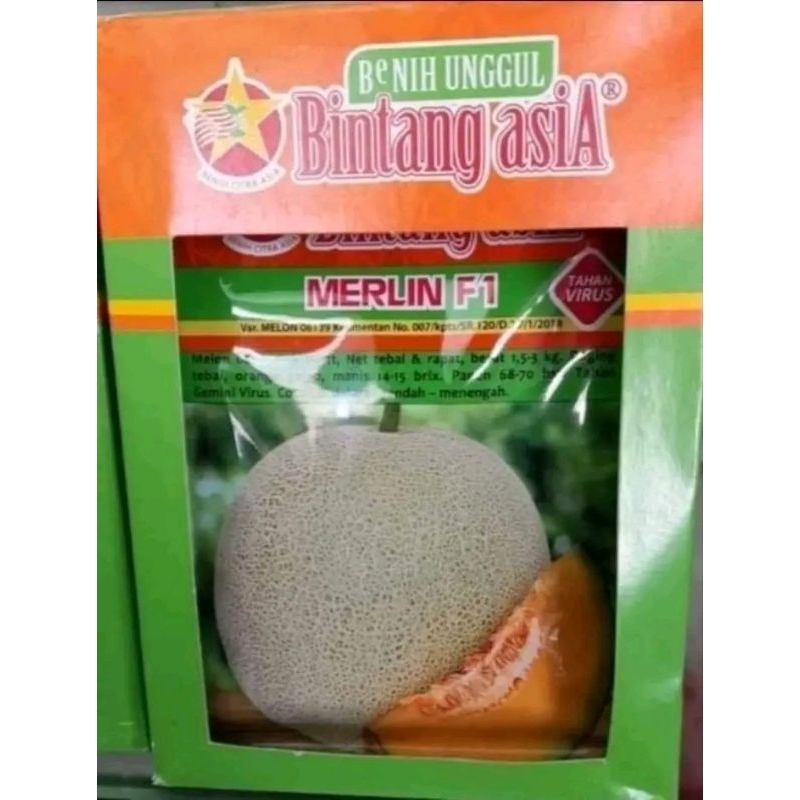 Benih Bibit Melon Merlin F1 20 grm