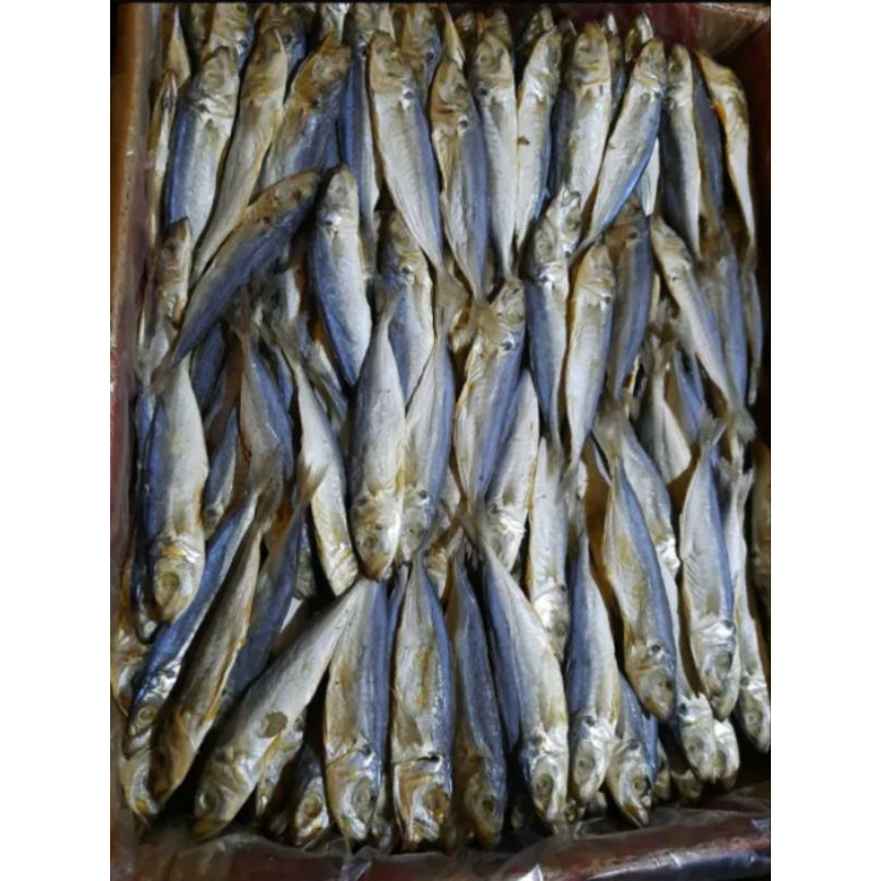 

ikan asin japuh 250 gr