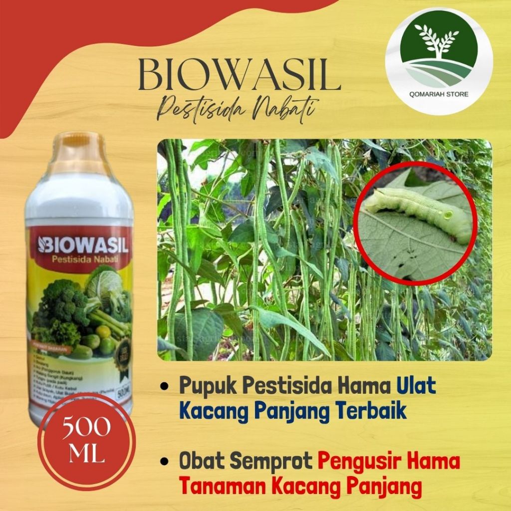 obat basmi ulat kacang panjang paling bagus - BIOWASIL 500ML - Pupuk pestisida hama ulat kacang panj