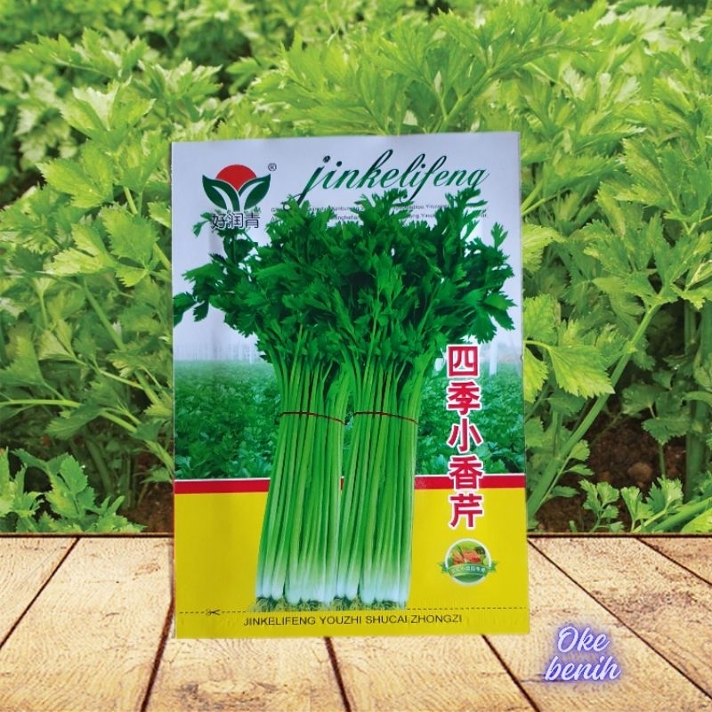 KEMASAN ORIGINAL -+3000 BUTIR BENIH SELEDRI IMPORT