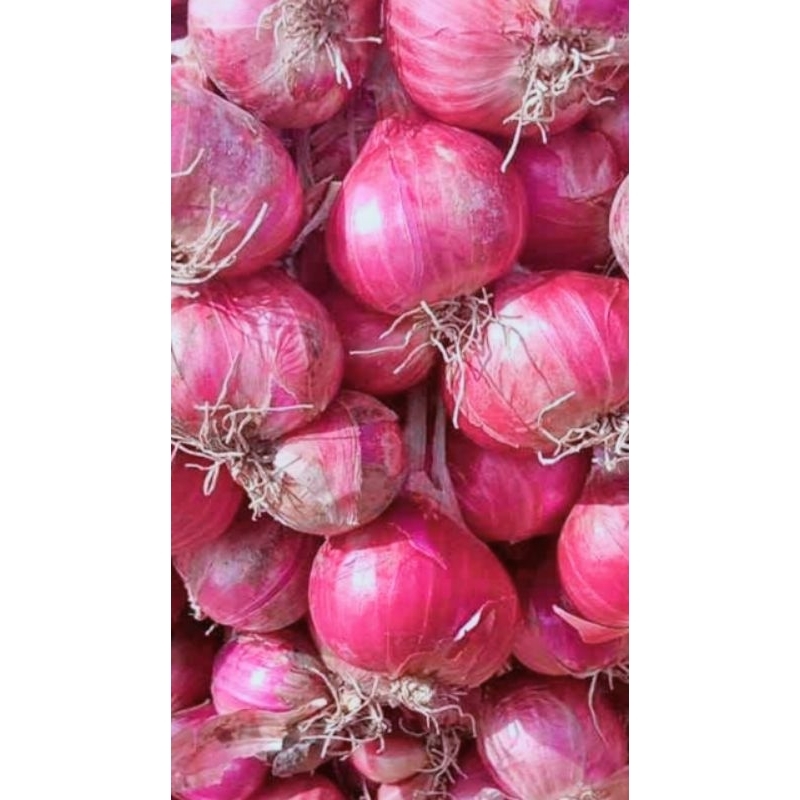 

Bawang merah asli Brebes SUPER,500gram