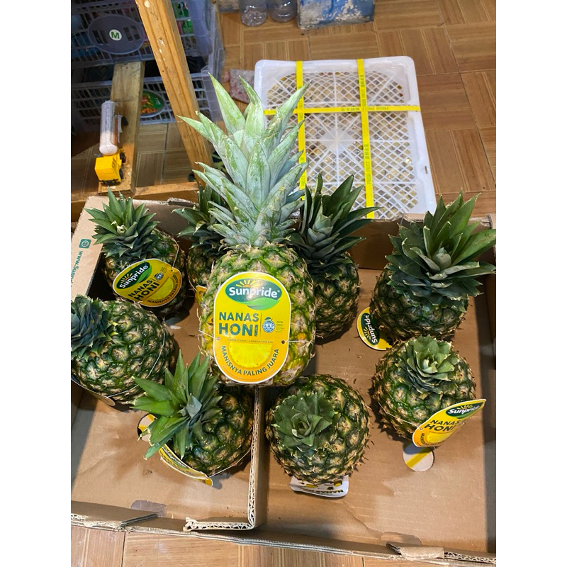 

NANAS HONEY SUNPRIDE / NANAS MADU IMPORT / NANAS MANIS MURAH