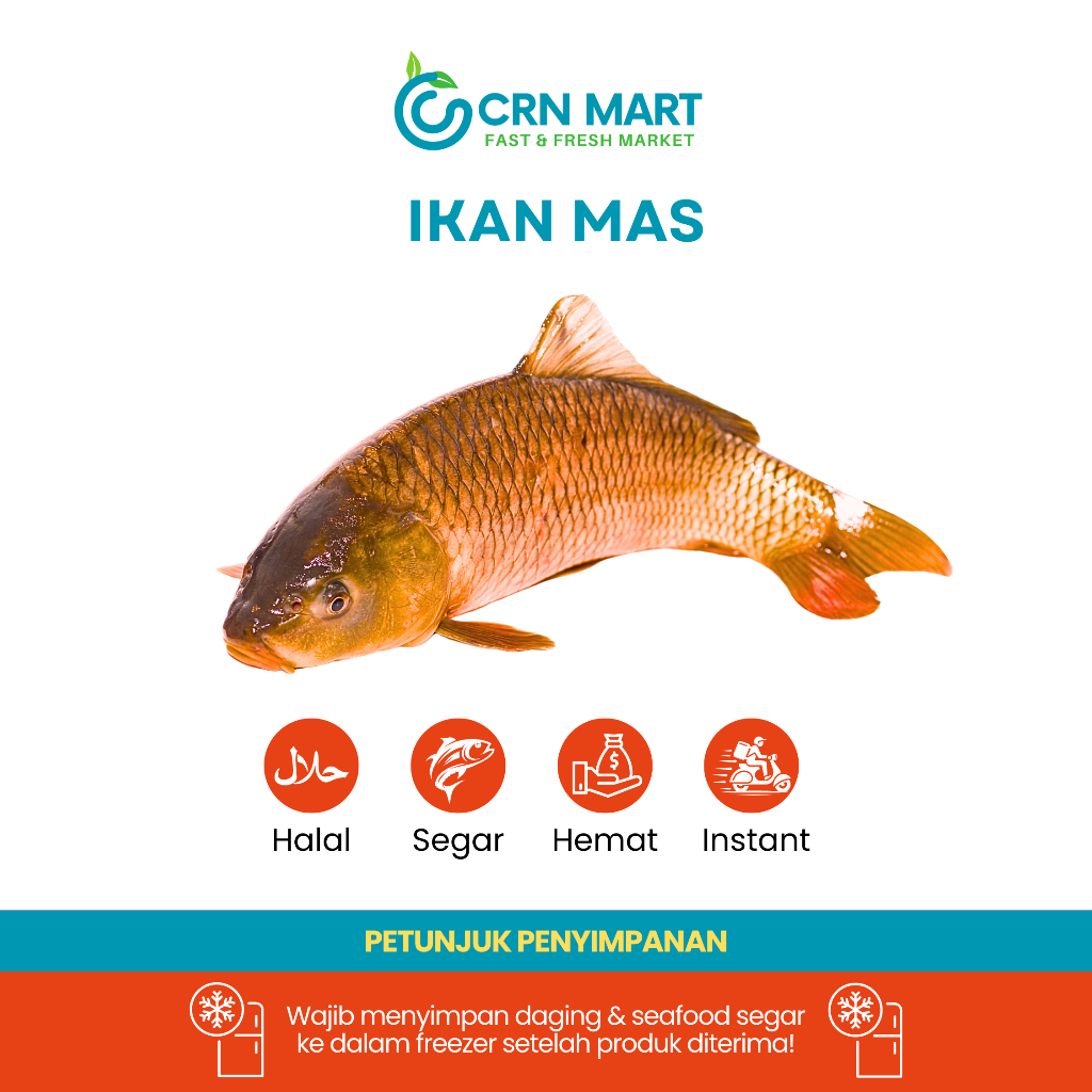 

CRN MART - Ikan Mas Segar/Ikan Air Tawar Segar/Ikan Mas Fresh Per Ekor