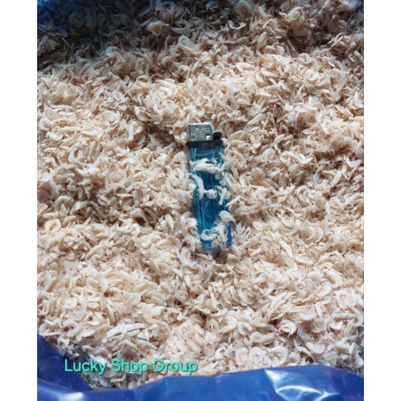 

Udang kecepe / rebon kwalitas super