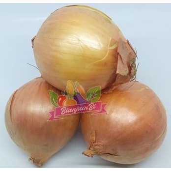 

Bawang Bombay 100 gram