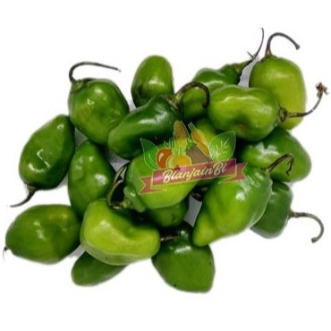 

Cabe Gendot Hijau 100 gram