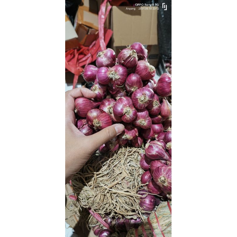 

bawang merah untingan super full jumbo