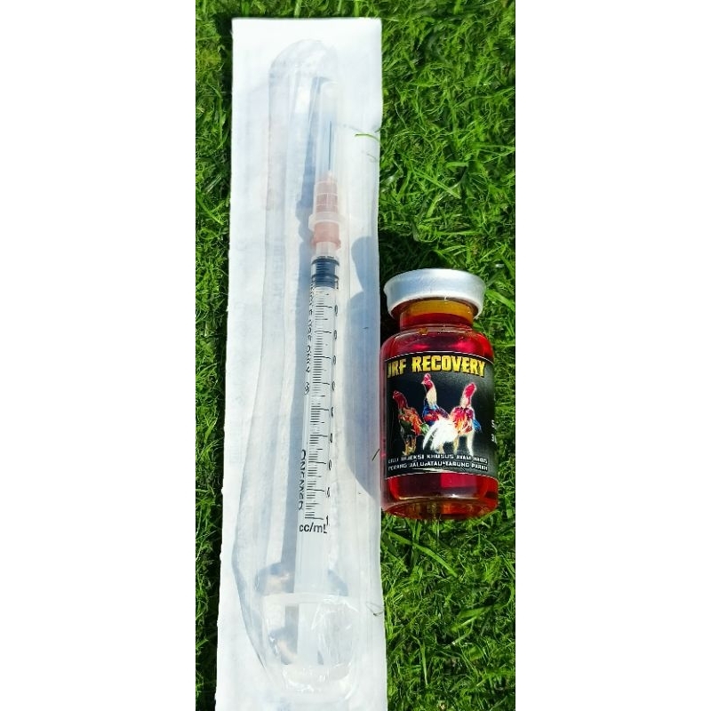 JRF RECOVERY ( recovery ayam habis tarung jalu / pukul badan dengan cepat )