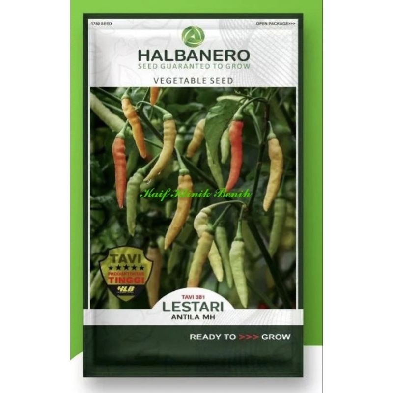Benih Cabe Rawit LESTARI 10 Gram - Cabai Rawit Putih Cap Halbanero