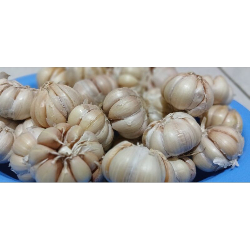 Bawang Putih 1 Kg