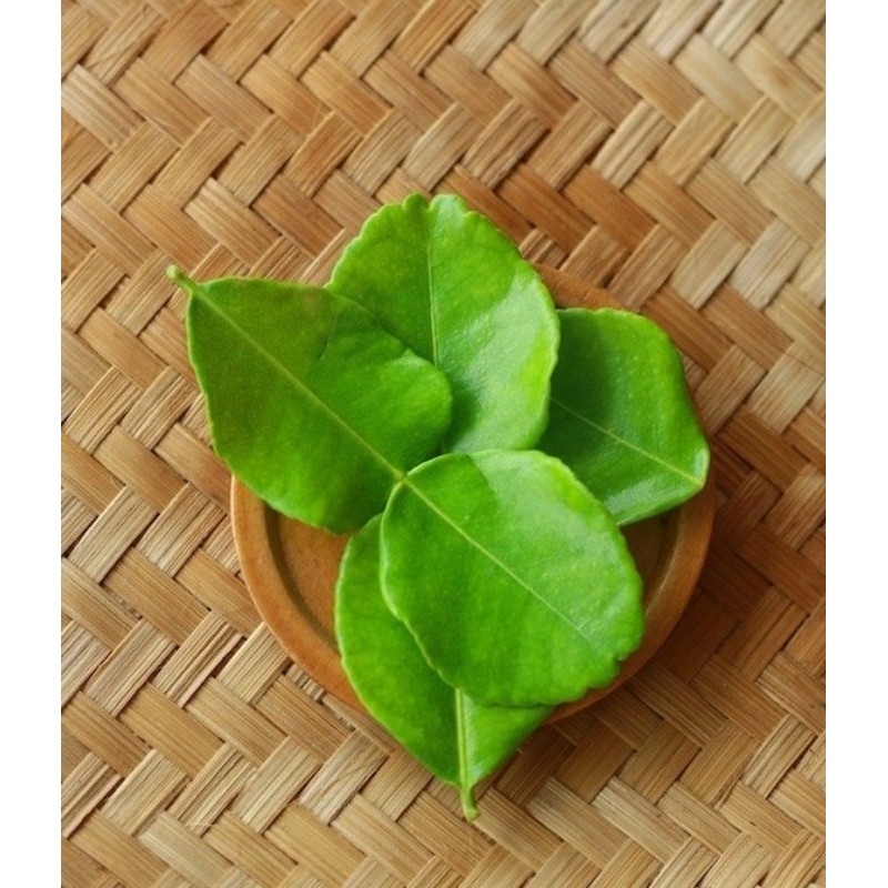

Daun Jeruk Lembaran
