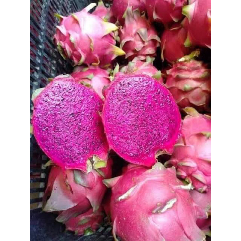 

buah naga merah - buah merah