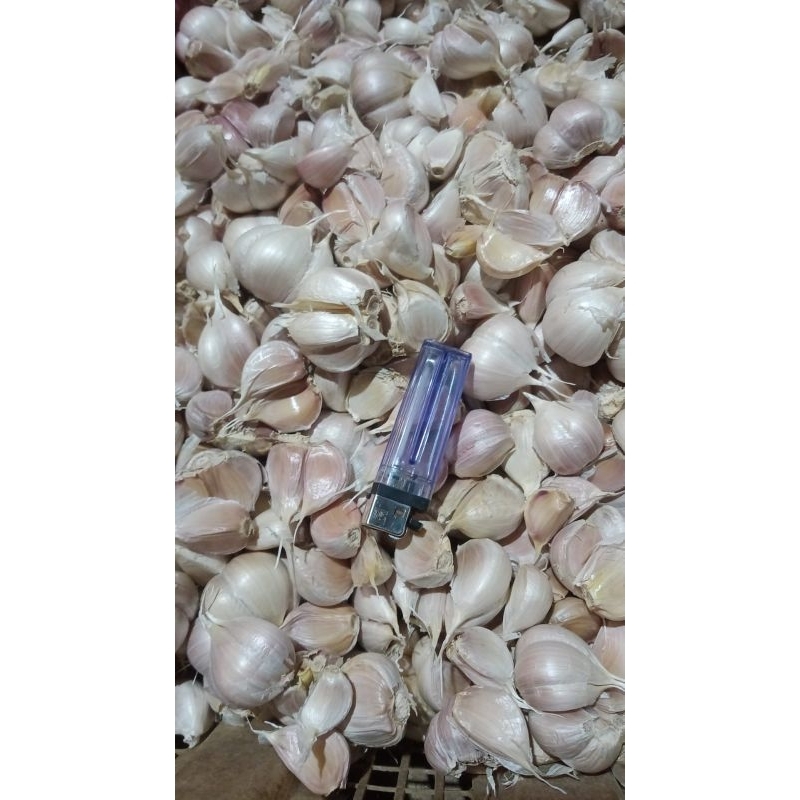 

SisumaFresh Bawang Putih Kating Bersih 1 Kg