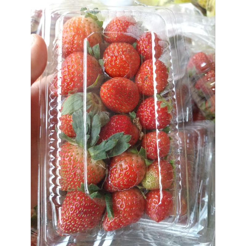 

buah strawberry segar pack mika kecil