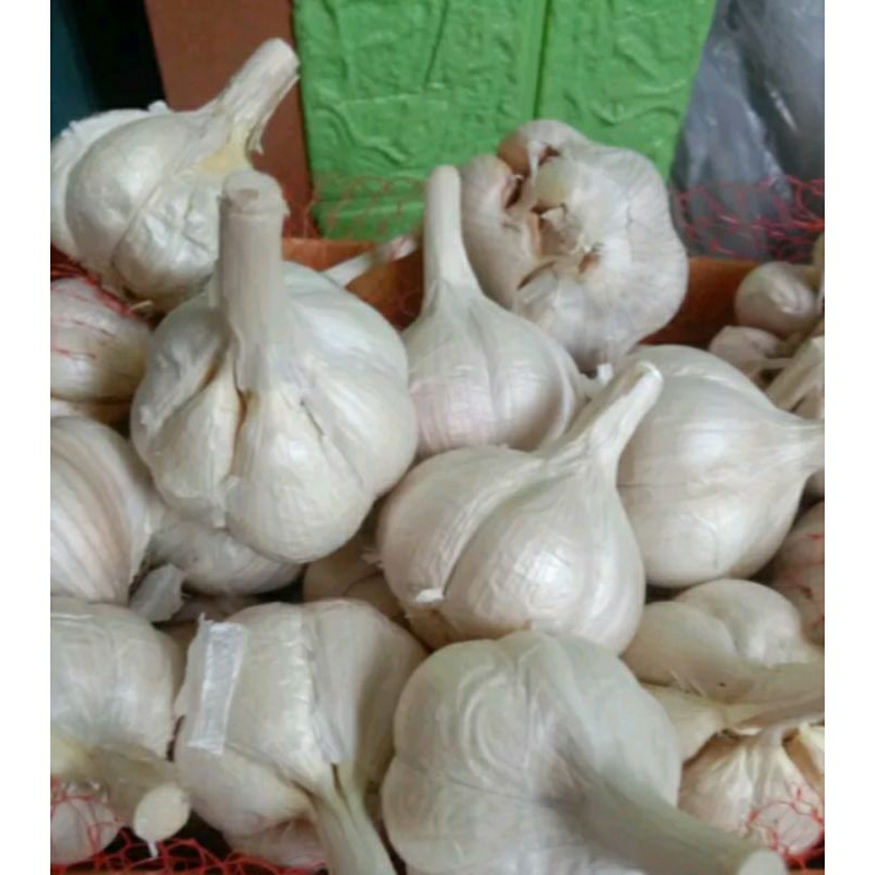 

bawang putih kemasan 1/2 kg