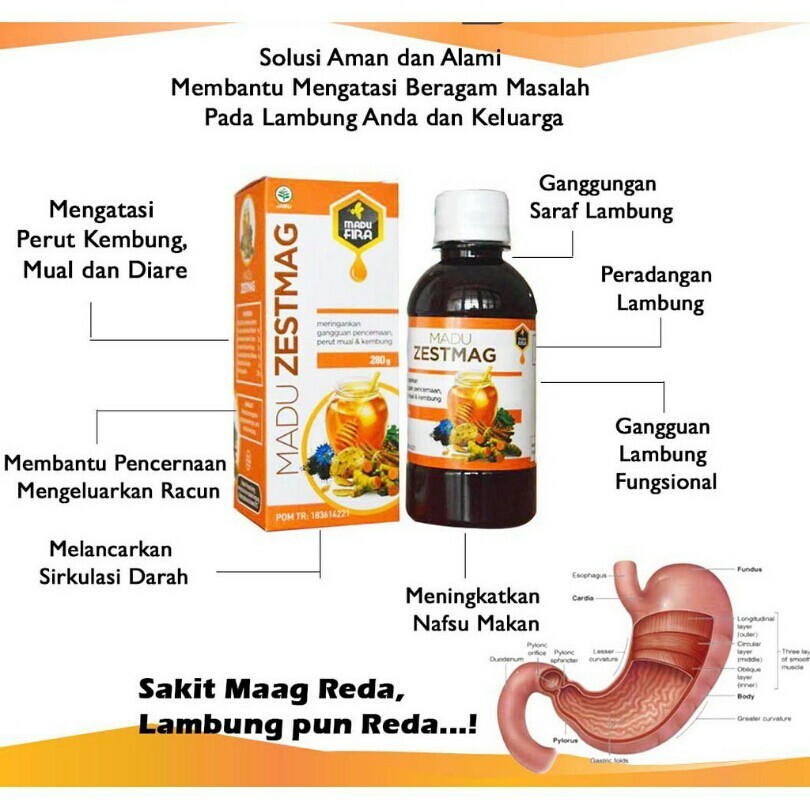 

Zetsmag Madu Zestmag Obat Asam Lambung -Zestmag Original - Zetmag Madu Asam Lambung Ampuh